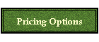 Pricing Options